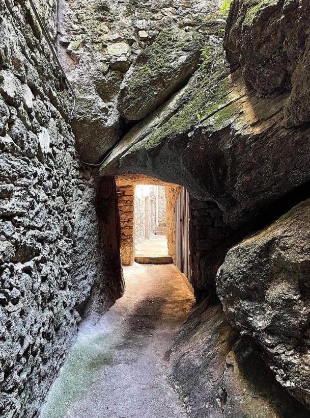 Gite Pommier Au Chateau Des Pauses Villa Saint-André-de-Majencoules Екстериор снимка
